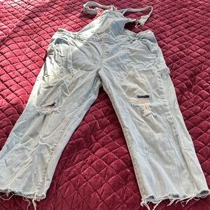 Wild Fable Light Blue Denim Overalls